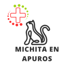 Michita en apuros