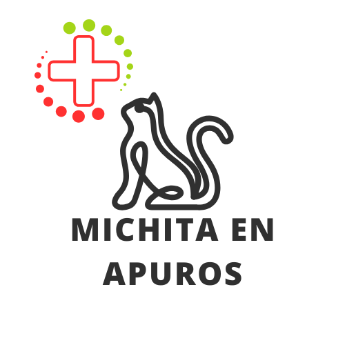 Michita-en-apuros.png